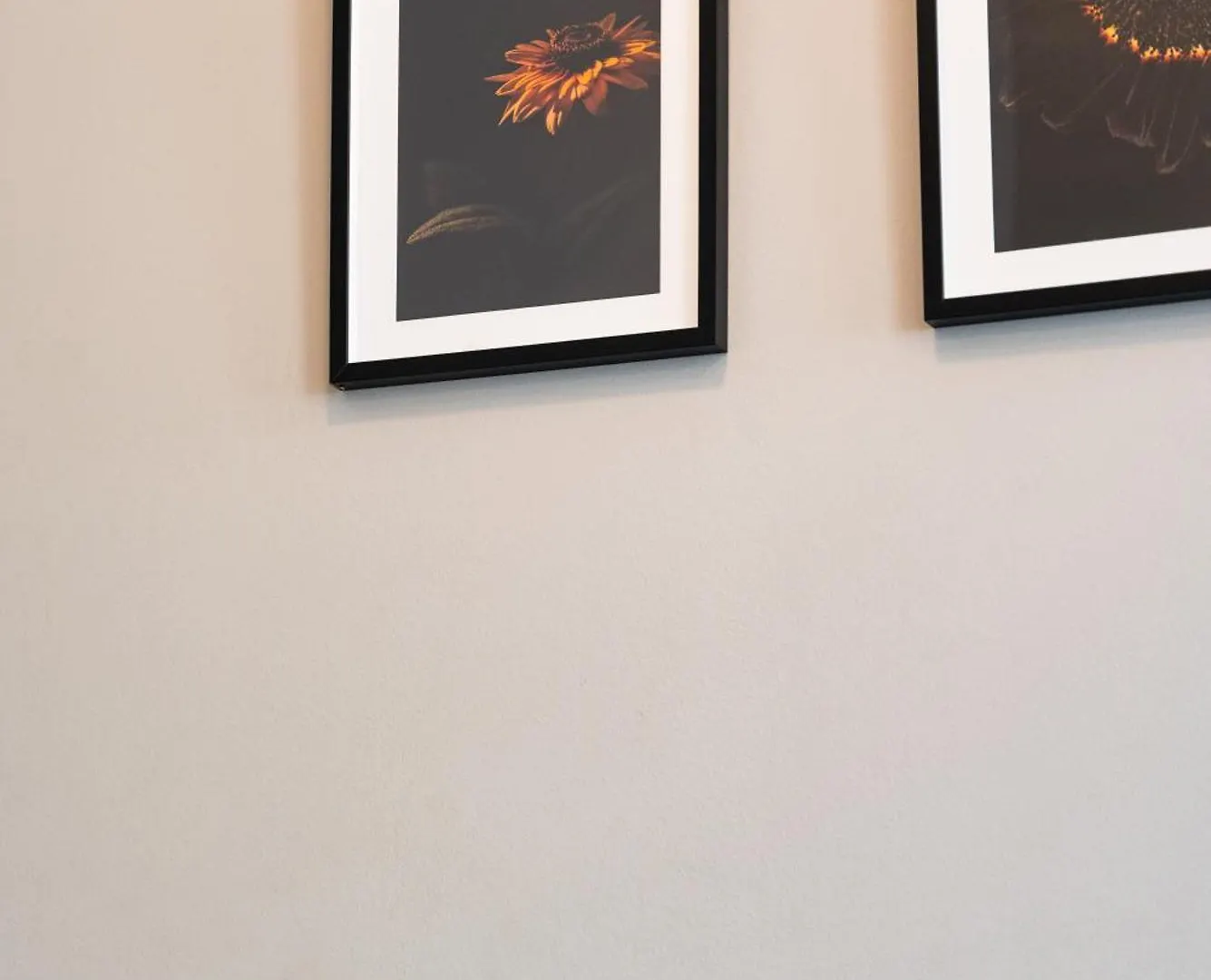 Premium Suites Vienna - City Paradise Avusturya